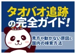 タオバオ追跡の完全ガイド！見方や動かない原因と国内の検索方法