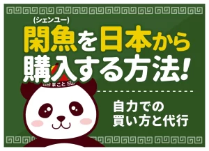 閑魚(シェンユー)を日本から購入する方法！自力での買い方と代行