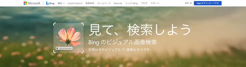 Bing Visual Searchのイメージ