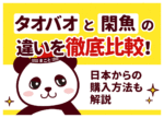 タオバオと閑魚の違いを徹底比較!日本からの購入方法も解説
